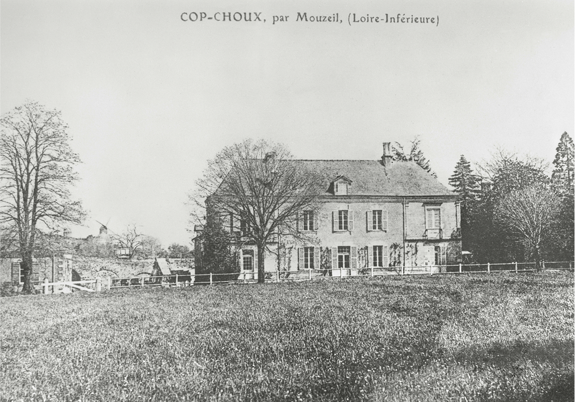 Domaine 1